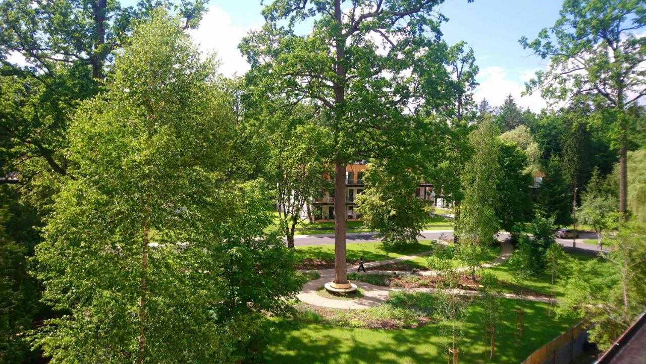 Enklawa Bialowieska Forest & Spa Hajnowka Exterior photo
